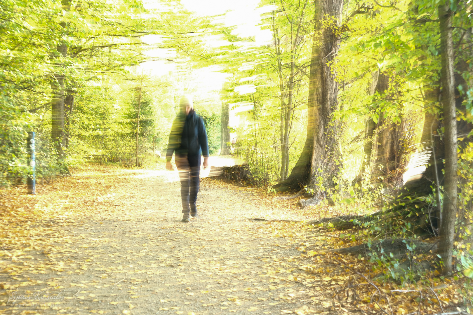 the path by the lake